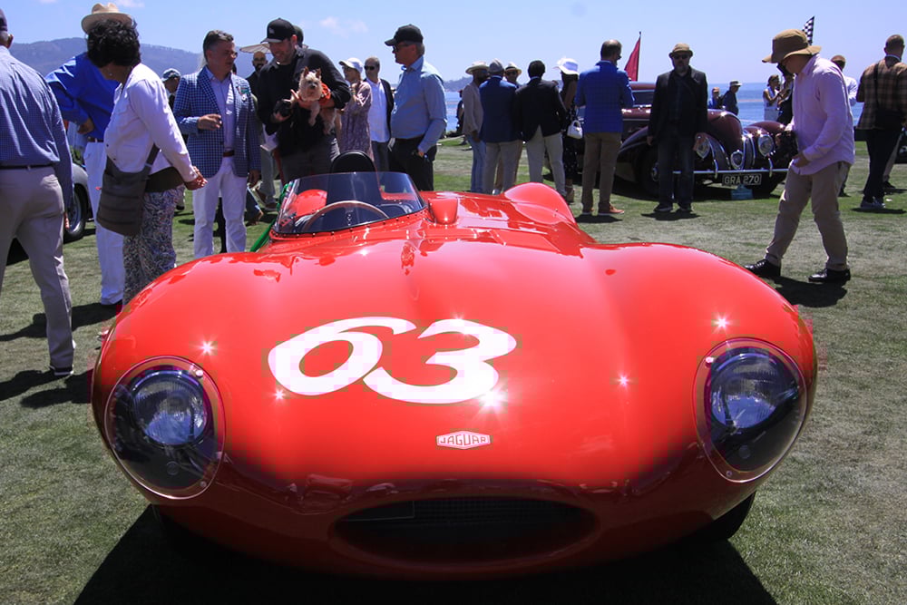 1955 Jaguar D type