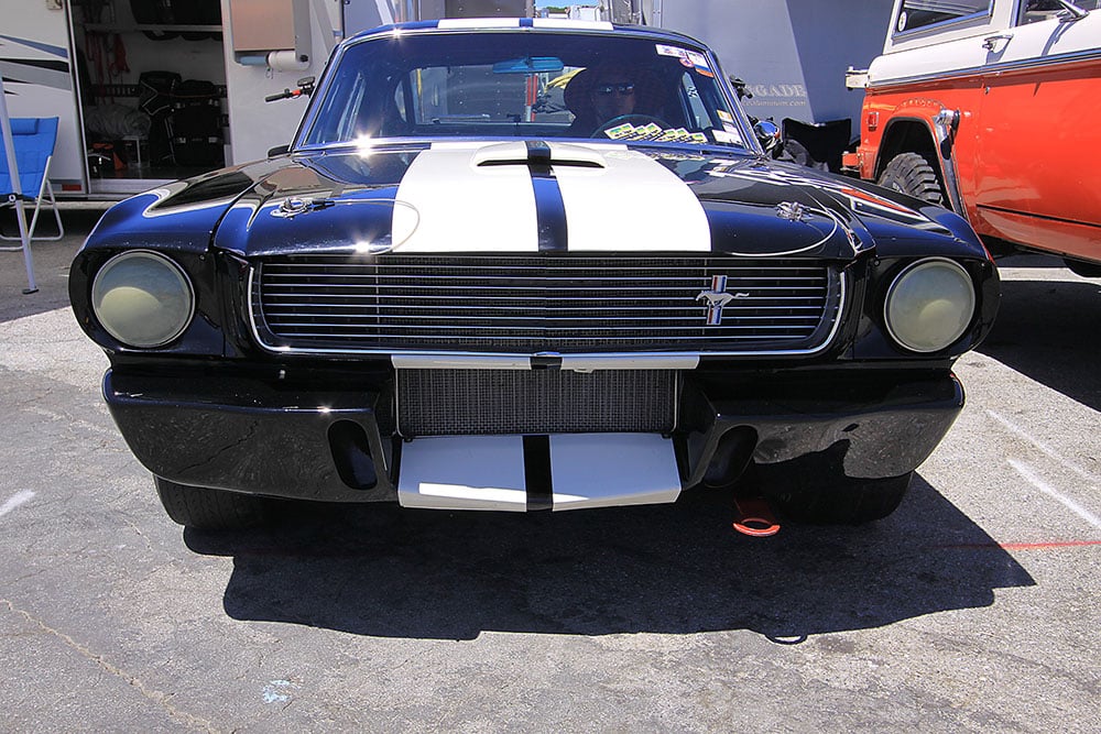 1966 GT350 black nose