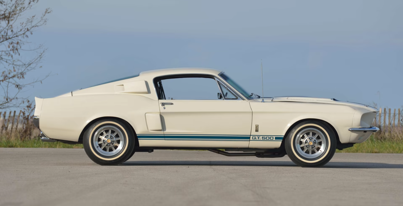 1967 Shelby GT500 Super Snake side view
