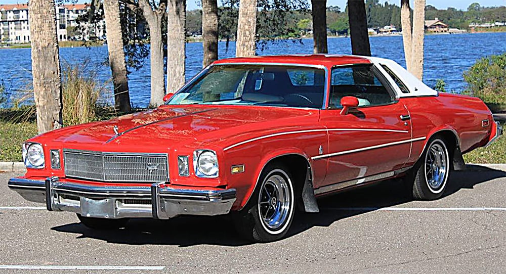 1975 Buick Regal landau copy