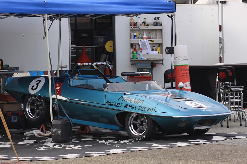 3 AMT Piranha blue paddock RF copy