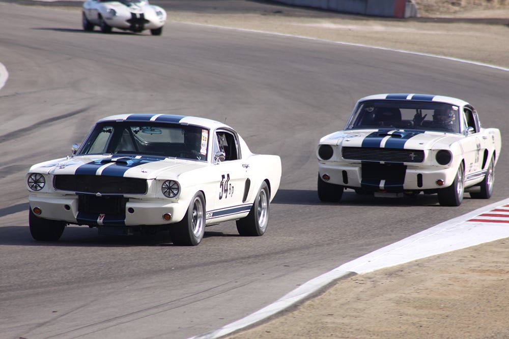 54 GT350 Gt350 Jag XKE track RF copy