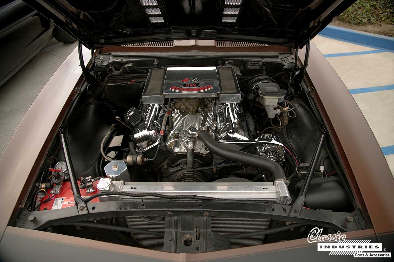 68_Camaro_SS_Brown_Camaro_Engine