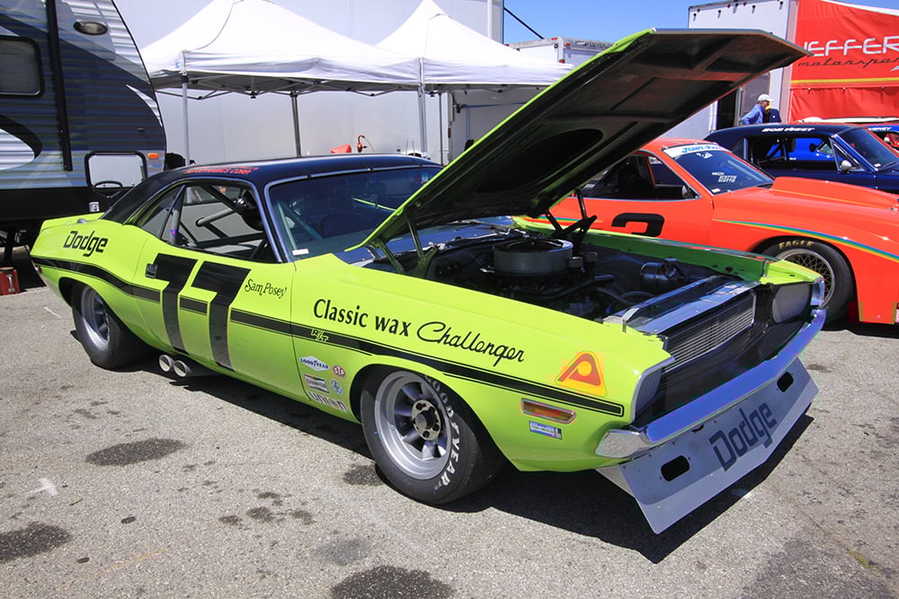 77 Challenger lime paddock RF copy