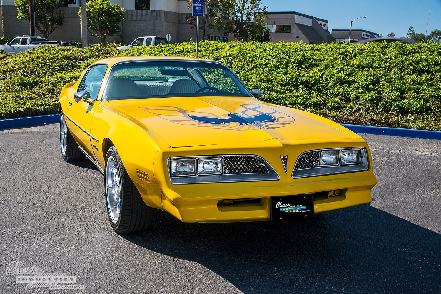 1977 Firebird - Screaming Yellow