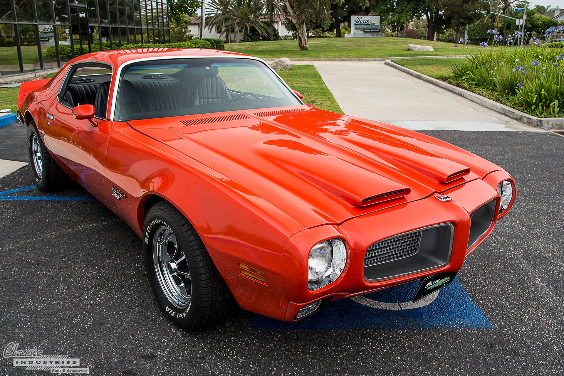 Orange Firebird Sign