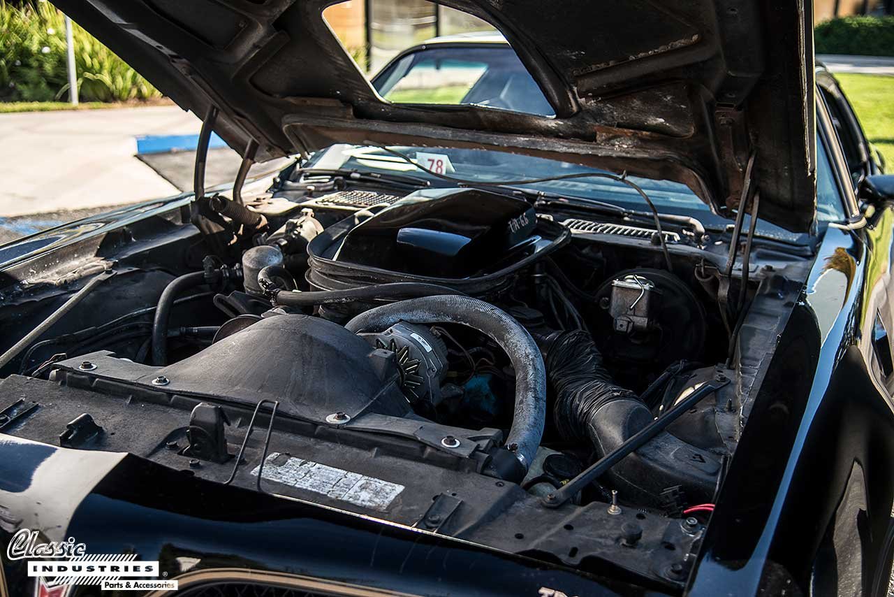 78-Trans-AM-Engine