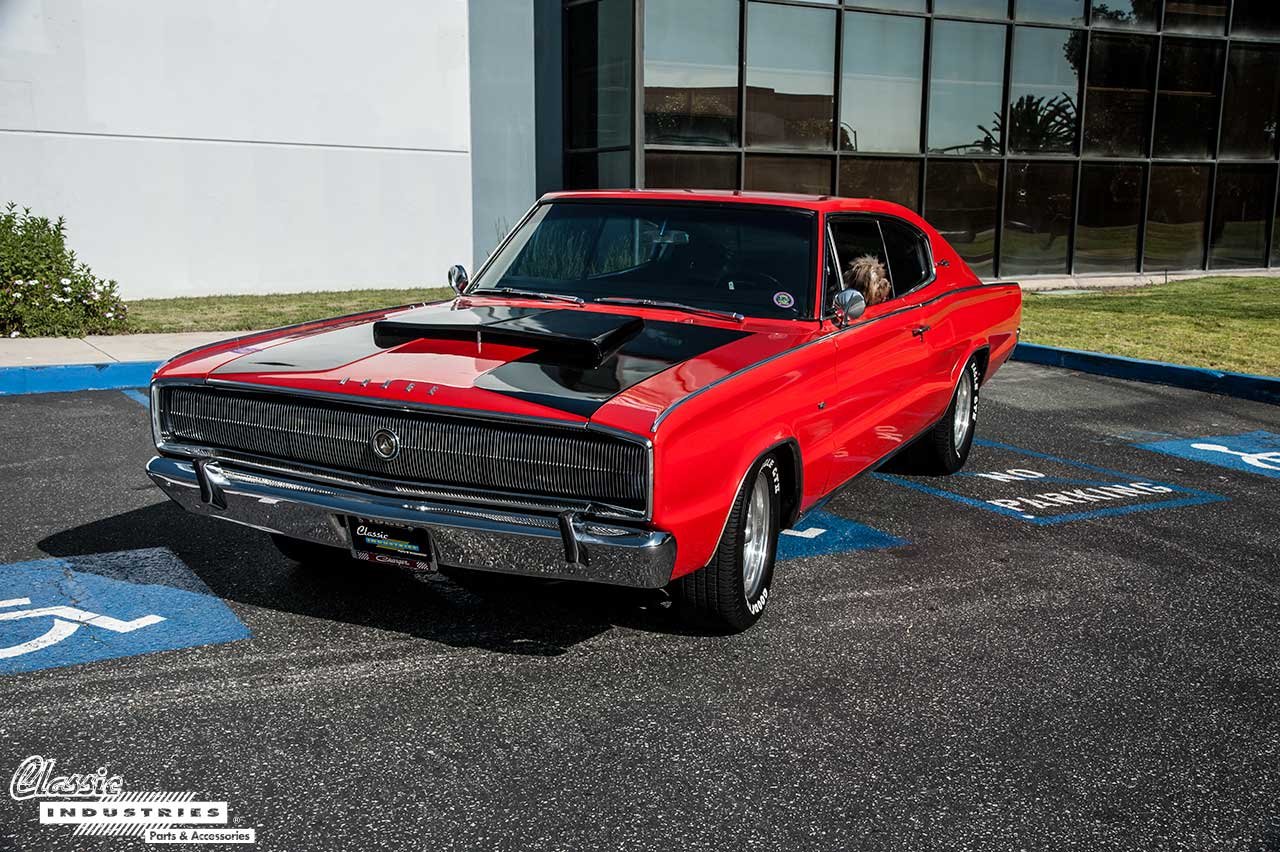 66-Charger-Dog