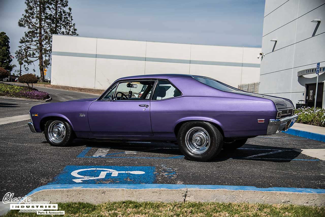 Purple-Nova-Back