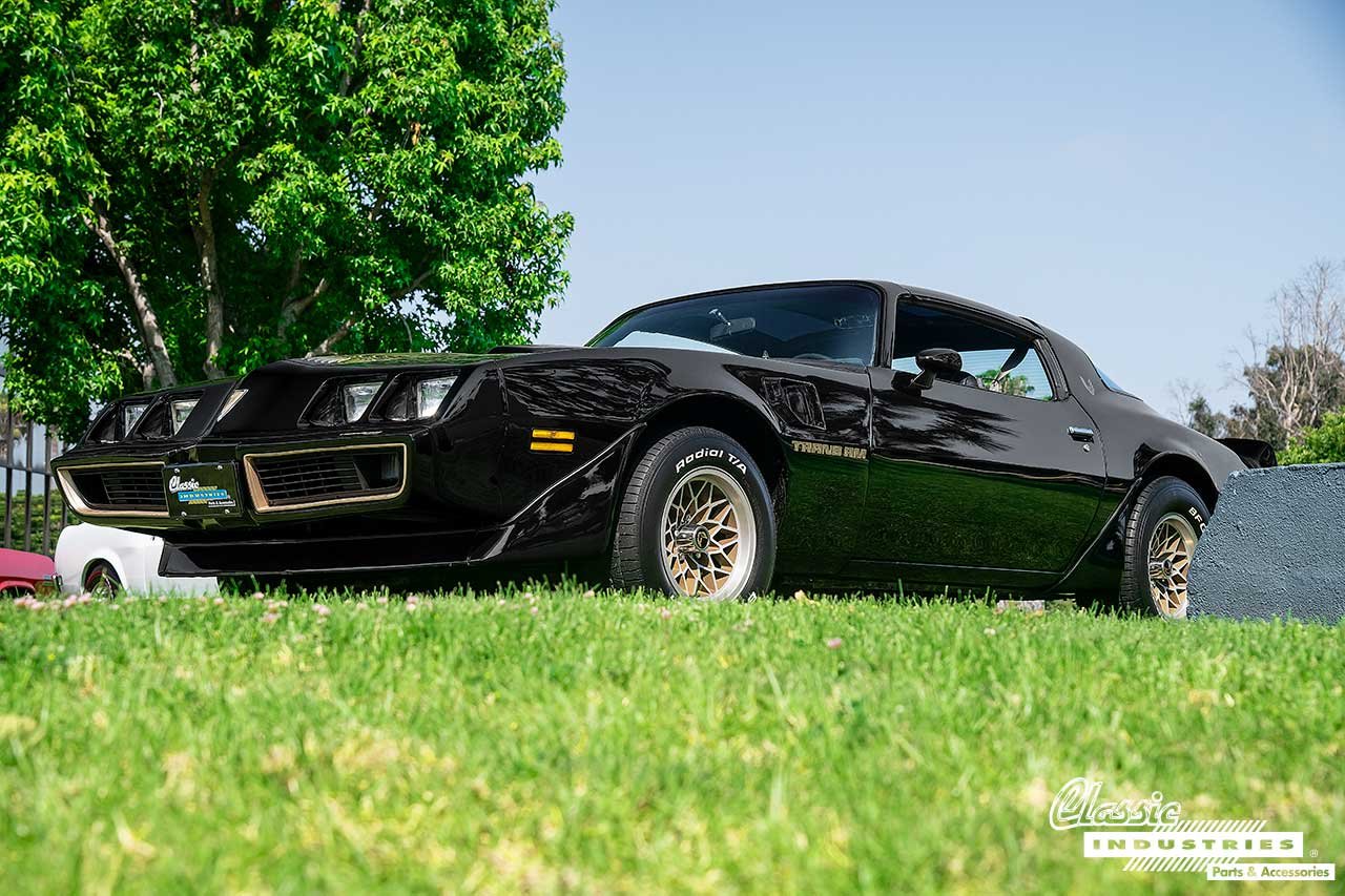 79TransAm_GrassyHill