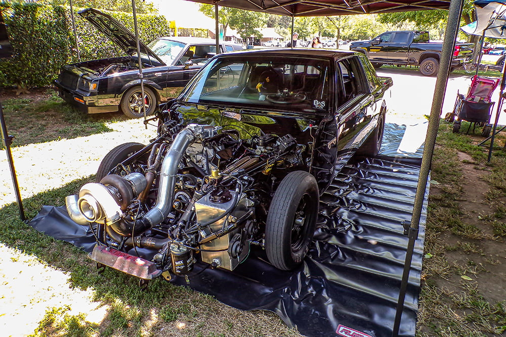 Grand National showing off copy