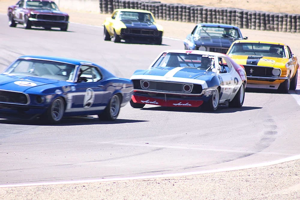 Javelin Mustangs Camaros-1 copy