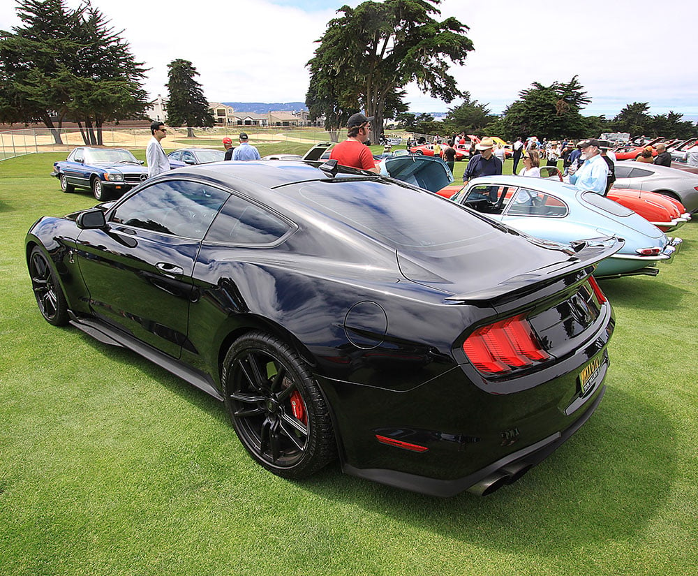 Shelby rear